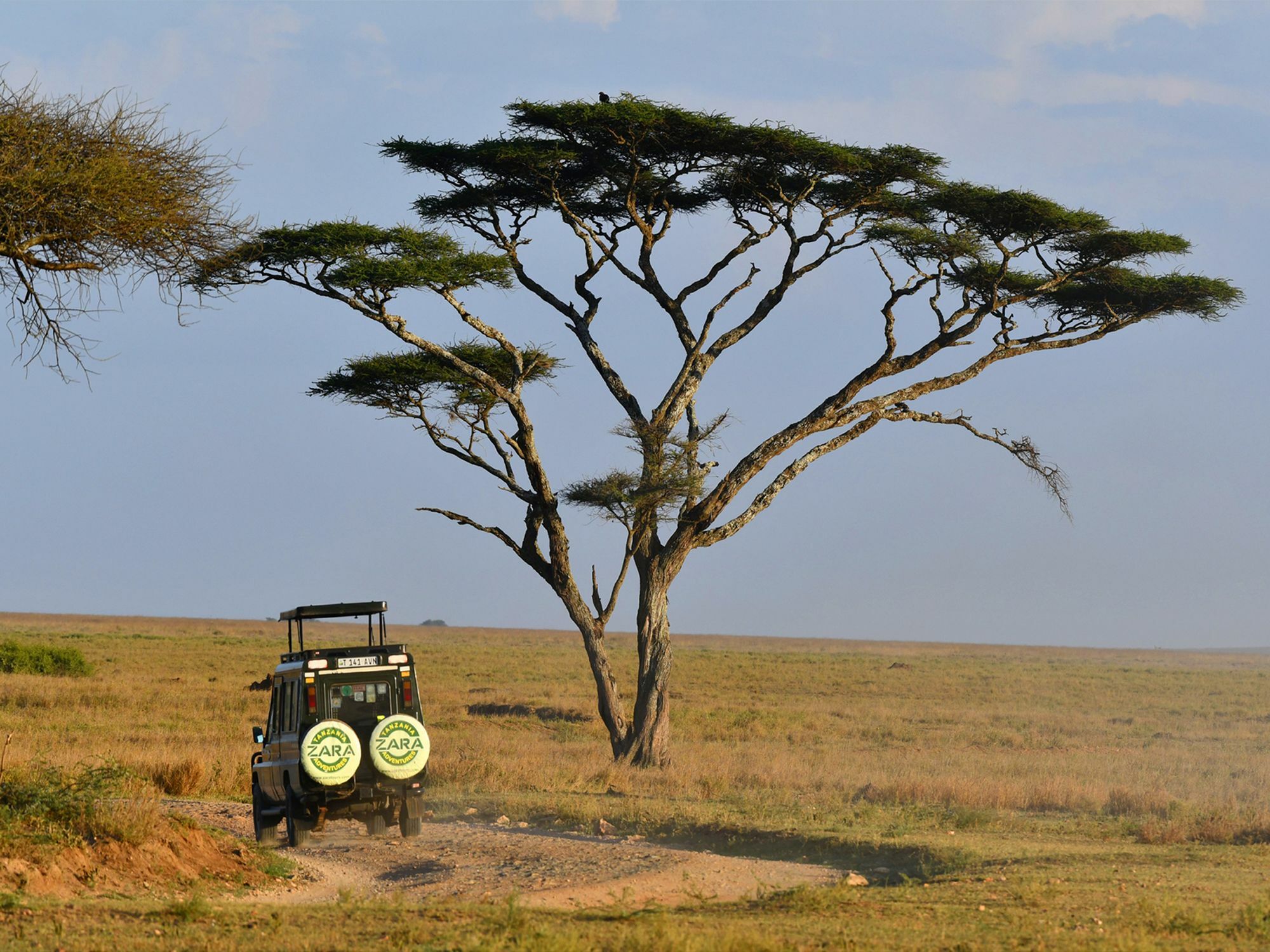Serengeti Safari Lodge Kültér fotó
